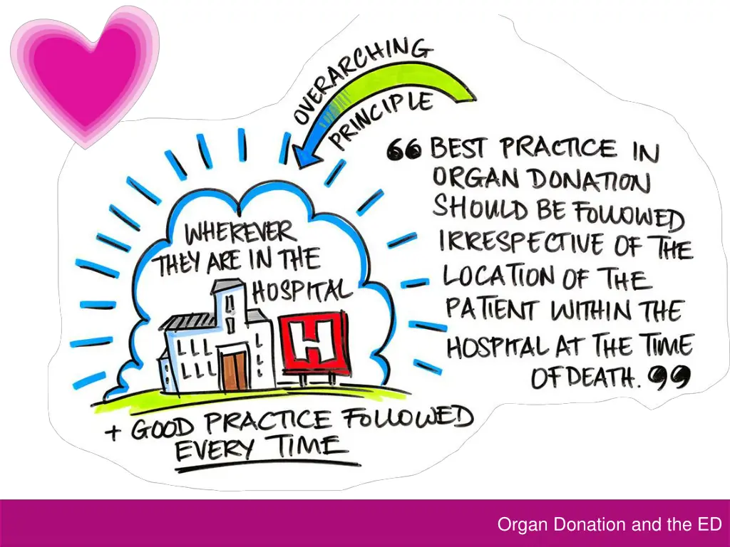 organ donation and the ed 2