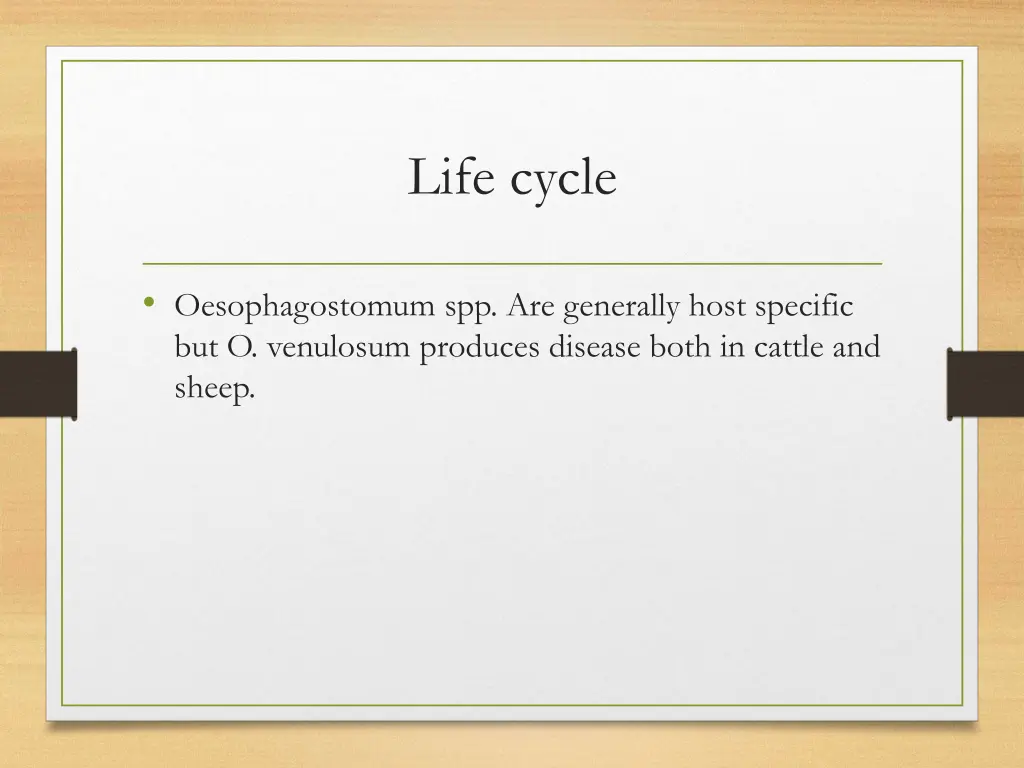 life cycle