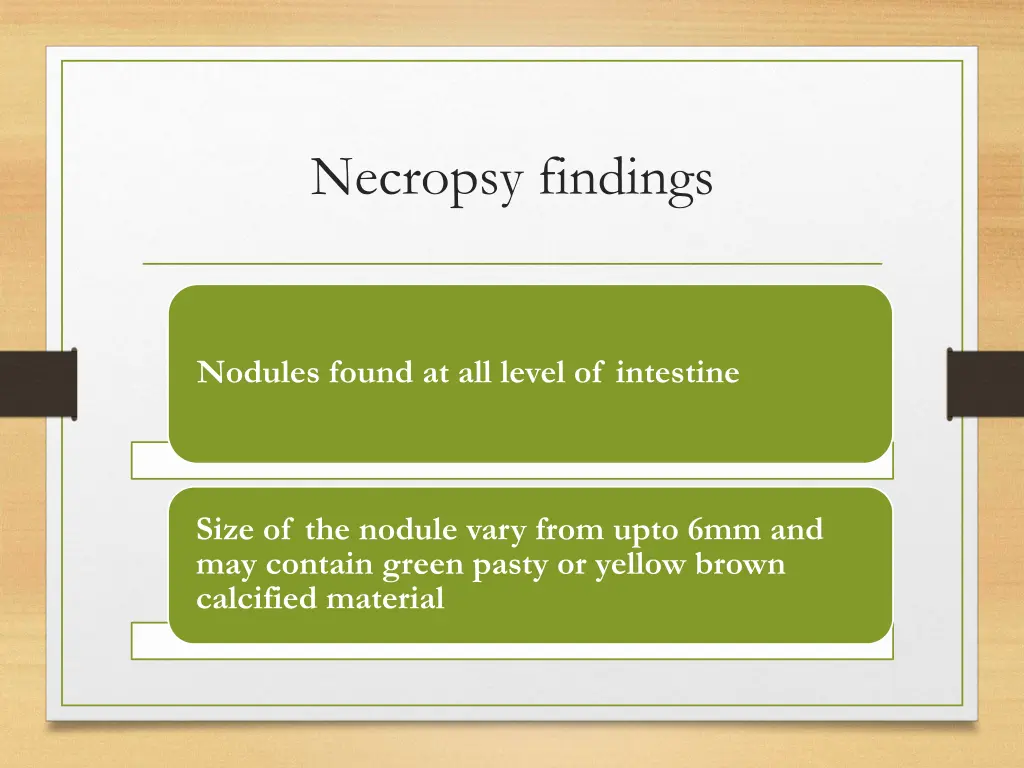 necropsy findings