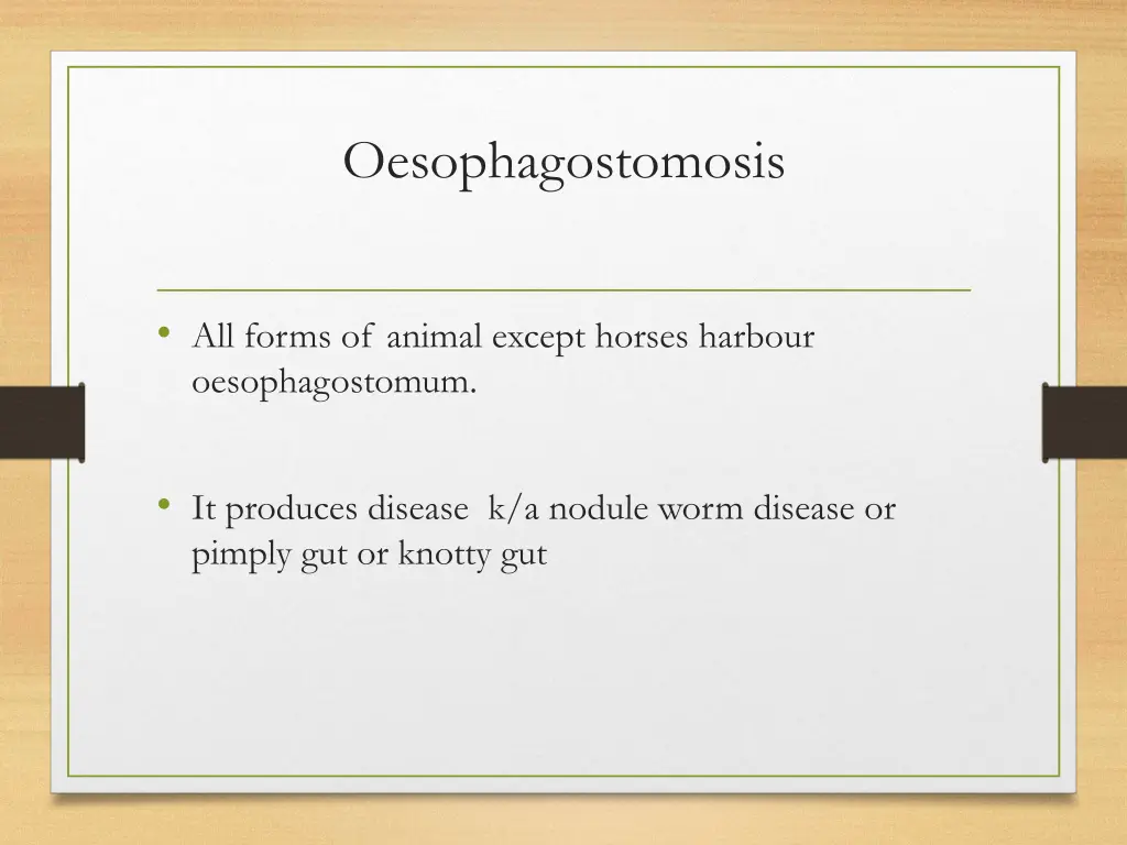 oesophagostomosis 1