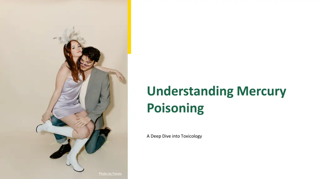 understanding mercury poisoning