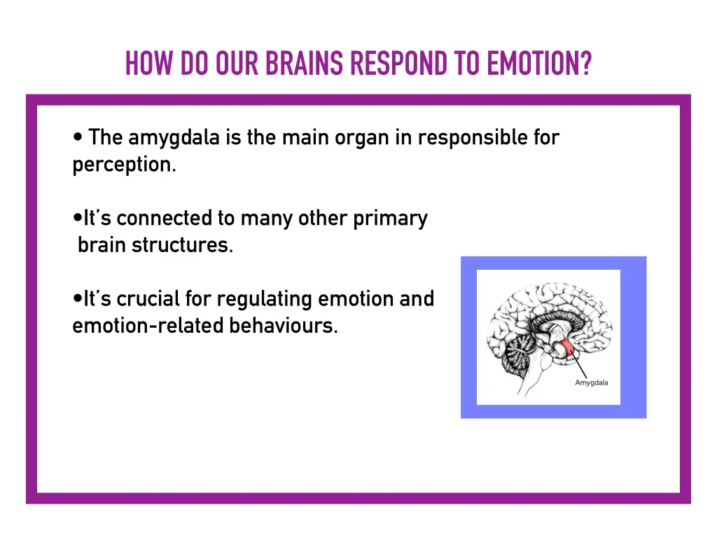 how do our brains respond to emotion