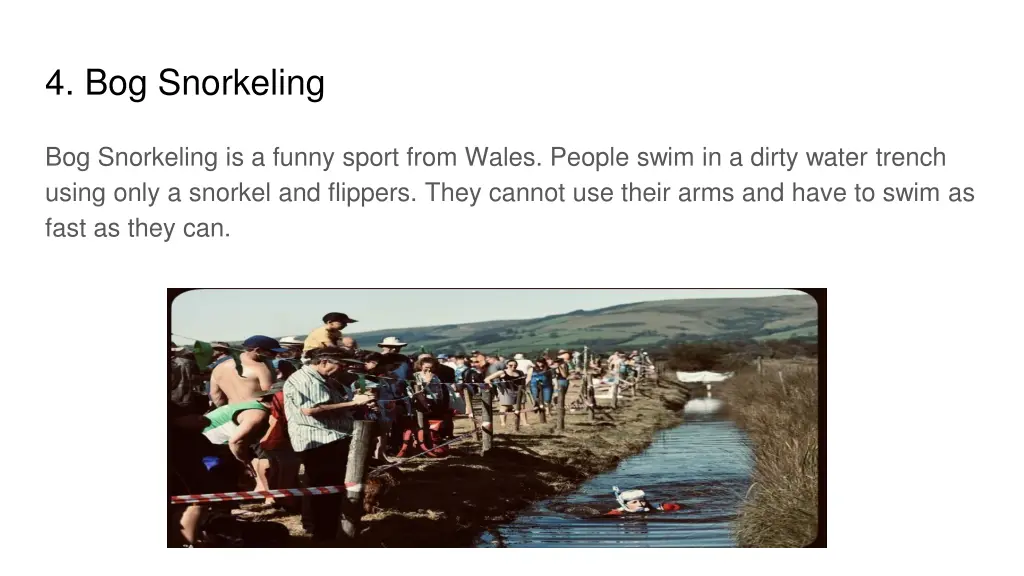 4 bog snorkeling