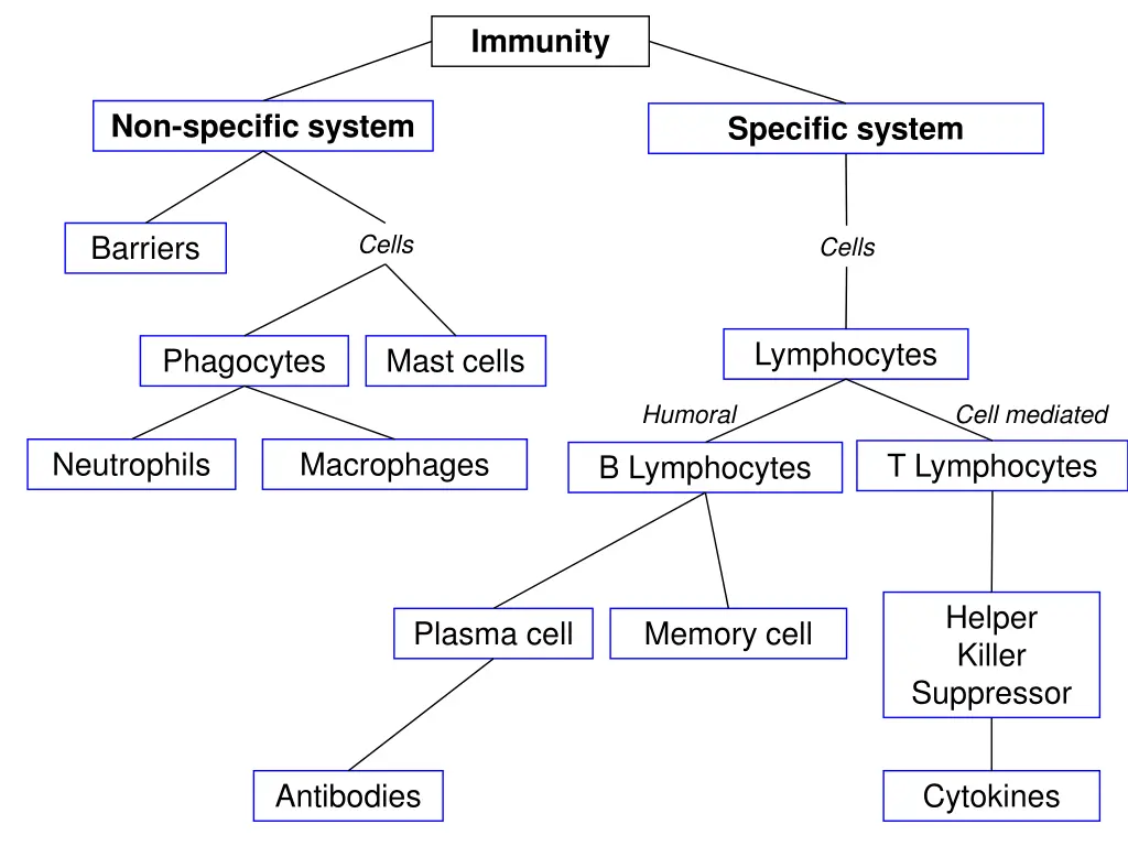 immunity