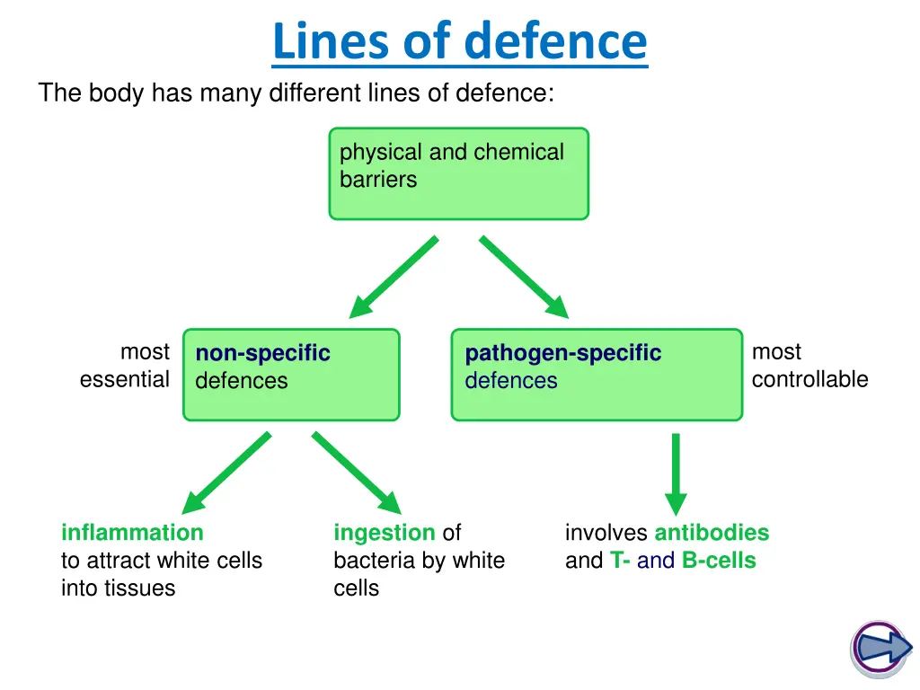 lines of defence