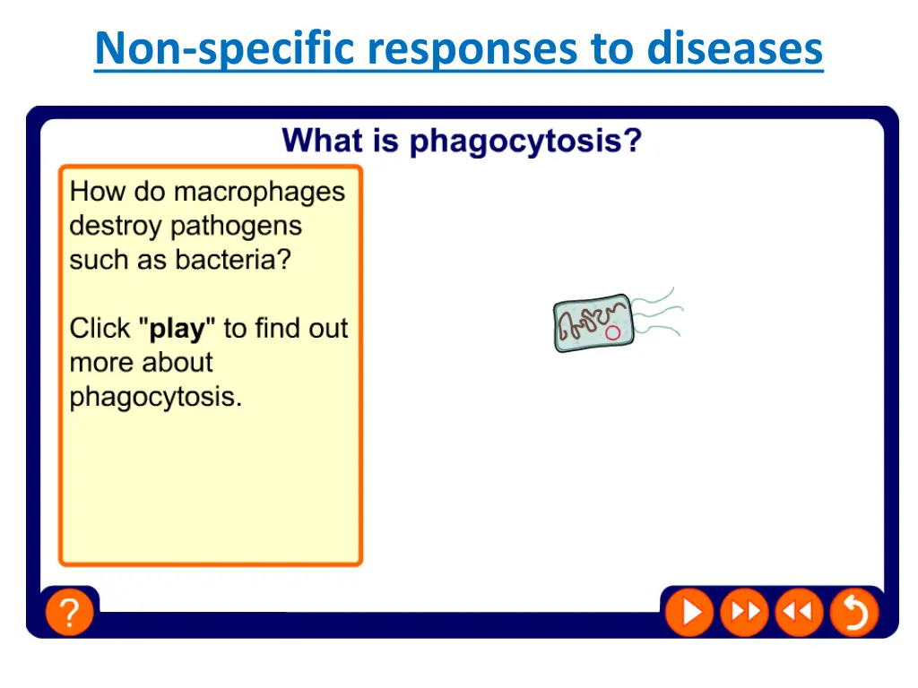 non specific responses to diseases