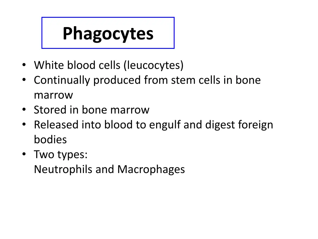 phagocytes