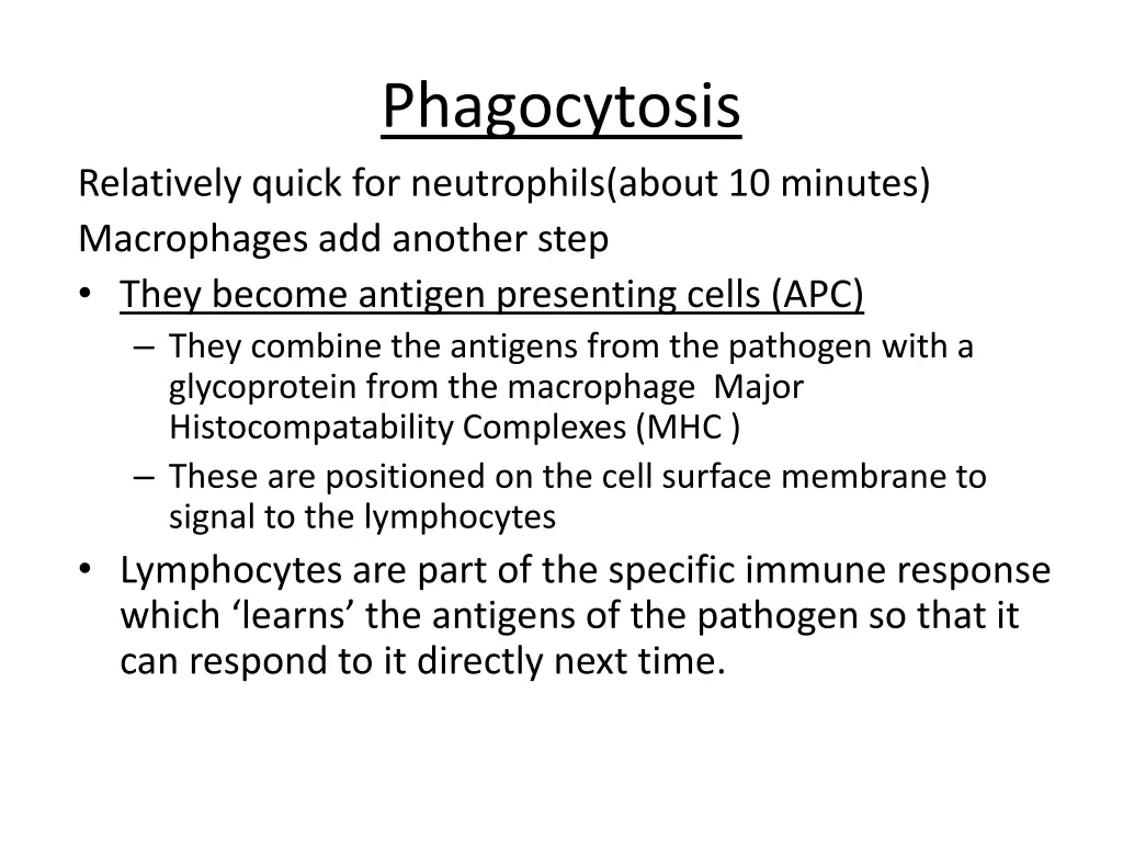 phagocytosis