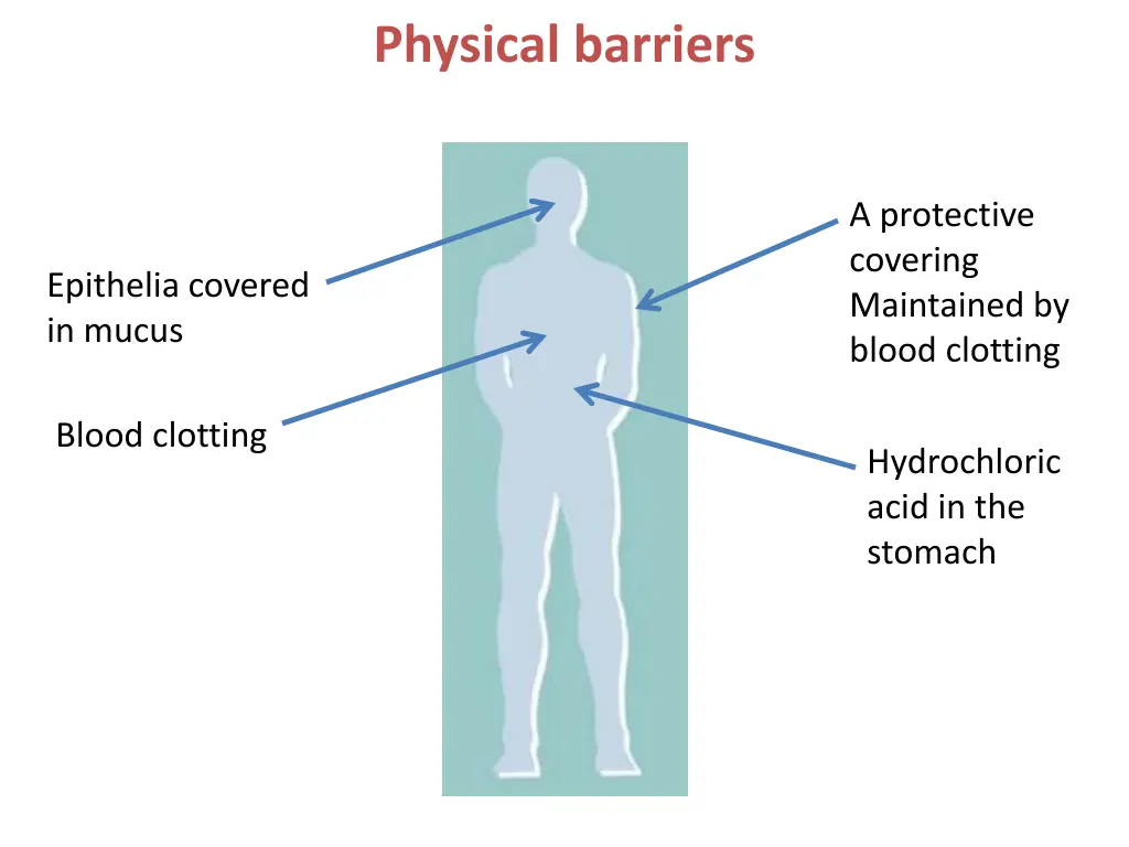 physical barriers