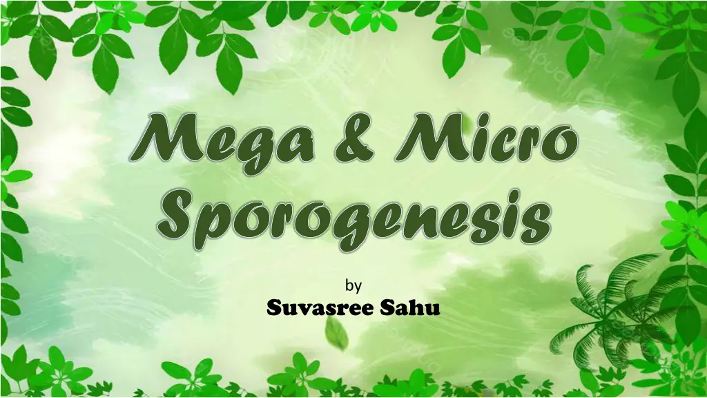 mega micro mega micro sporogenesis sporogenesis