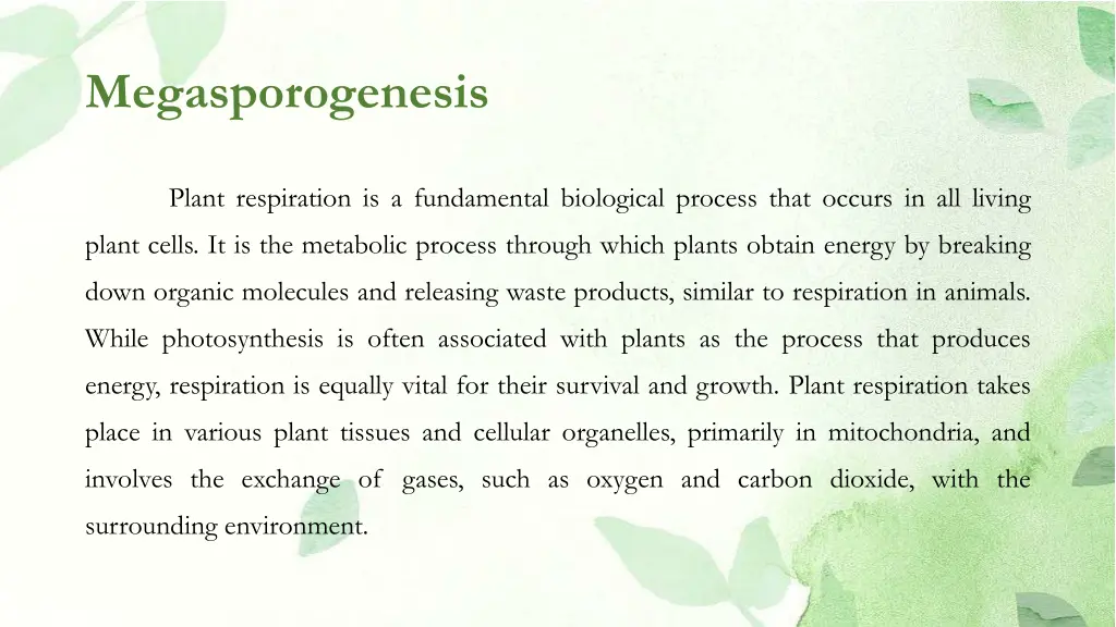 megasporogenesis