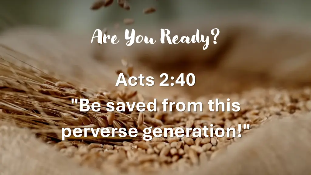 are you ready 1