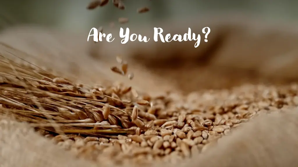 are you ready