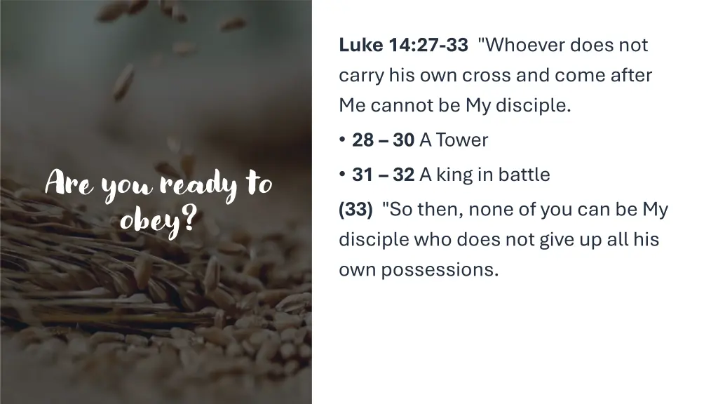 luke 14 27 33 whoever does not carry