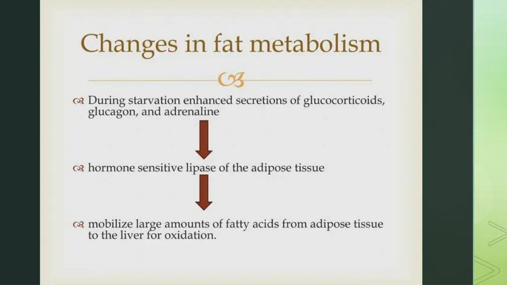 slide13