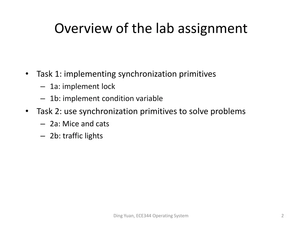 overview of the lab assignment
