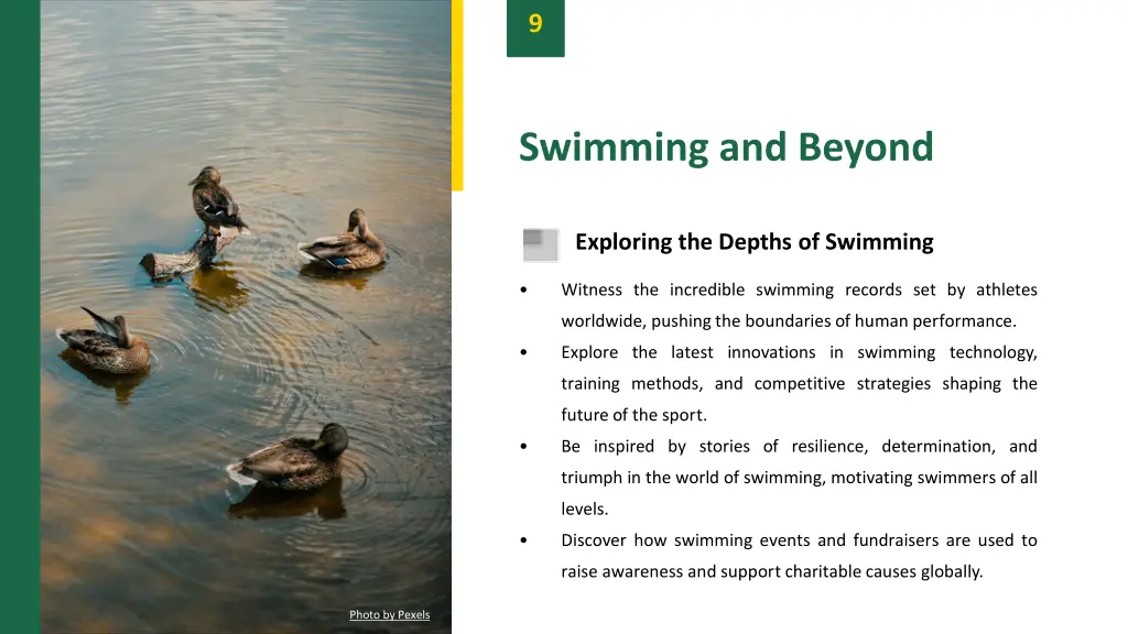 slide11