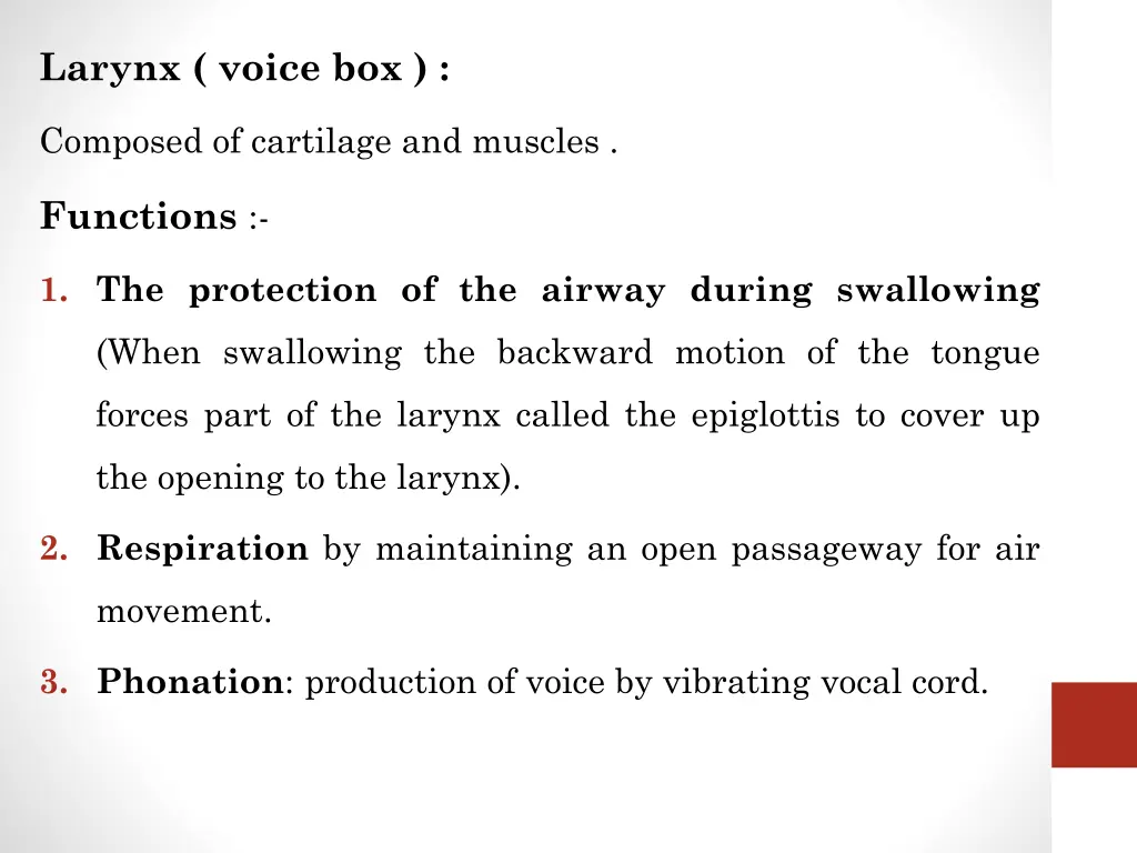 larynx voice box