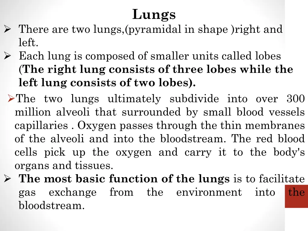 lungs