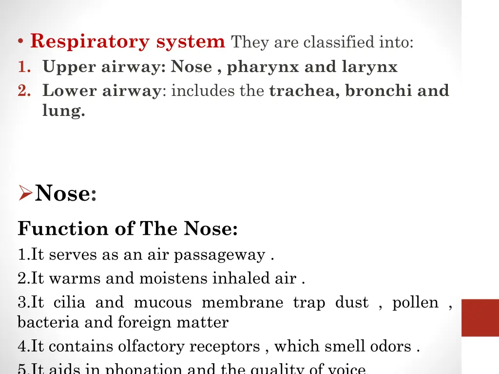 respiratory system they are classified into