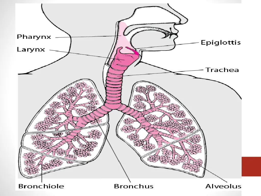 slide2