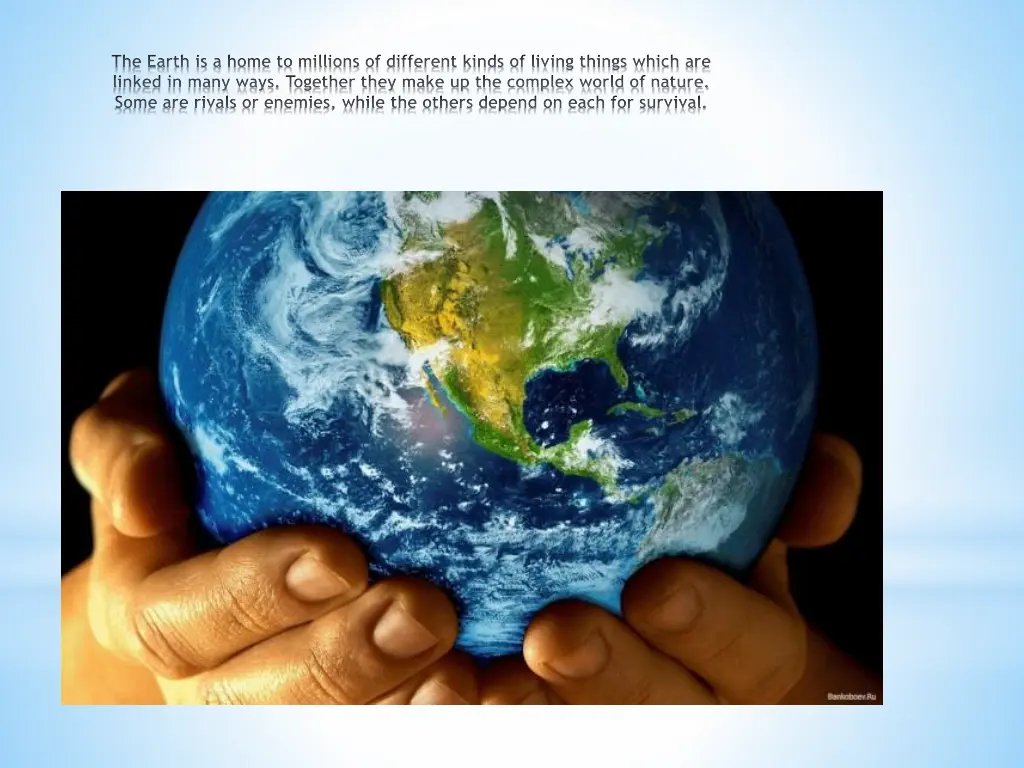 the earth is a home to millions of different