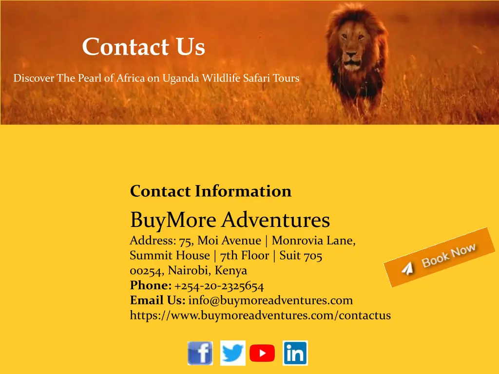 contact us