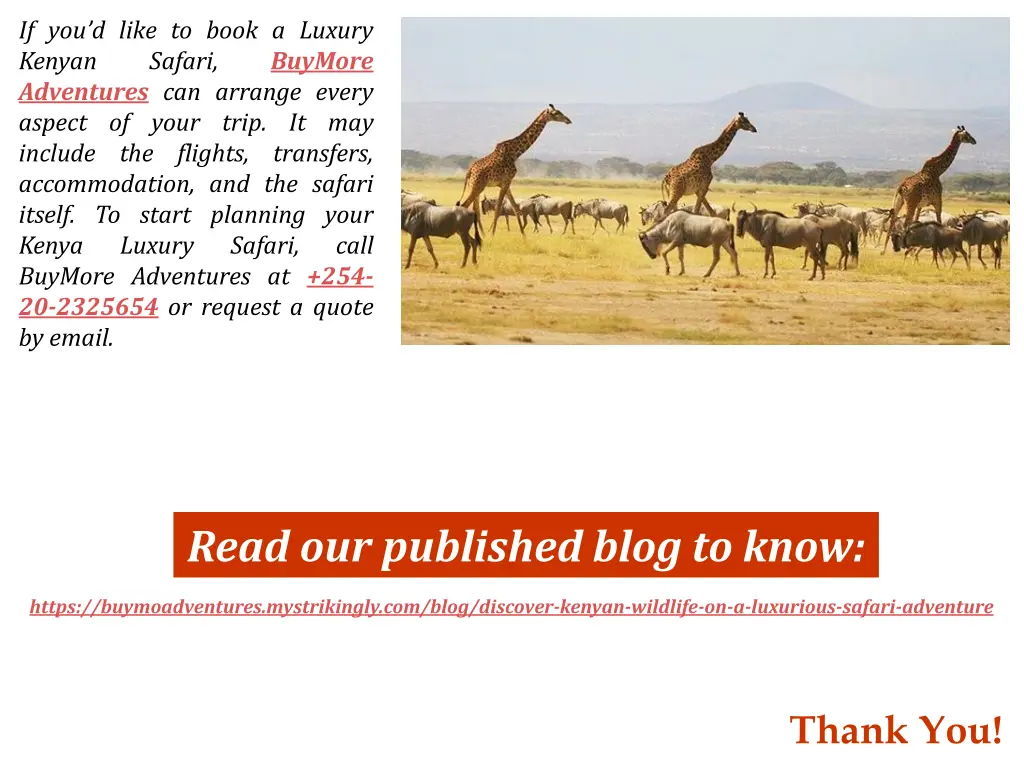 if you d like to book a luxury kenyan safari