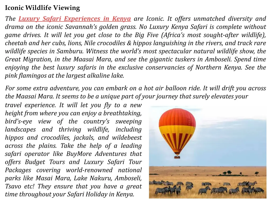 iconic wildlife viewing the luxury safari