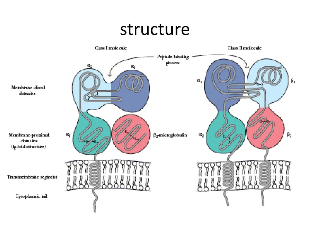 structure