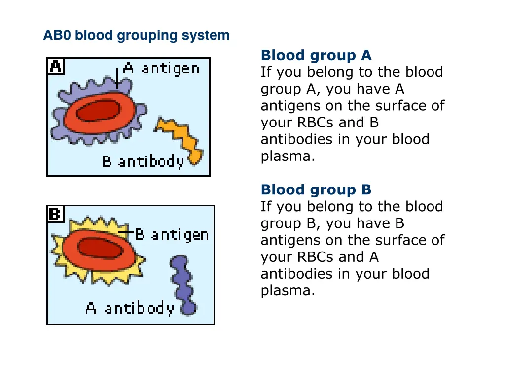 ab0 blood grouping system