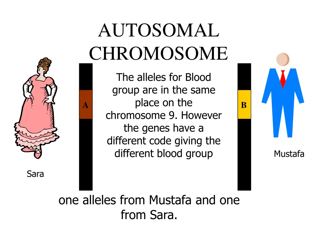 autosomal chromosome