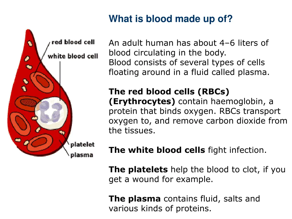 what is blood made up of