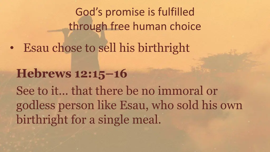 god s promise is fulfilled through free human 1