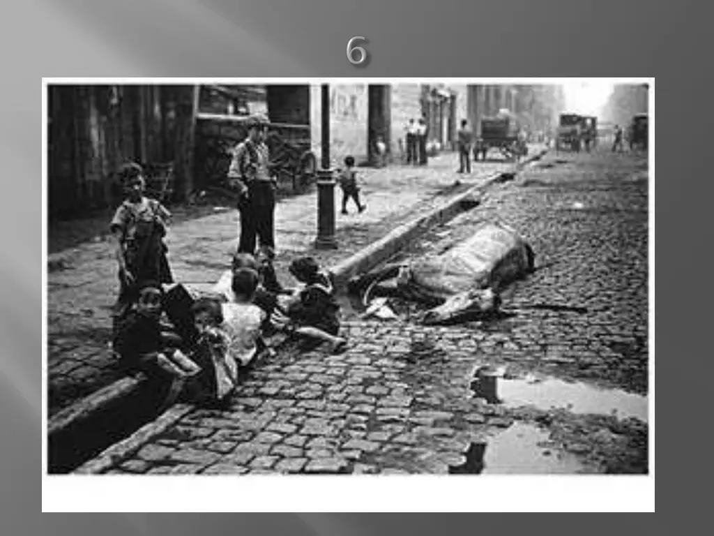slide8