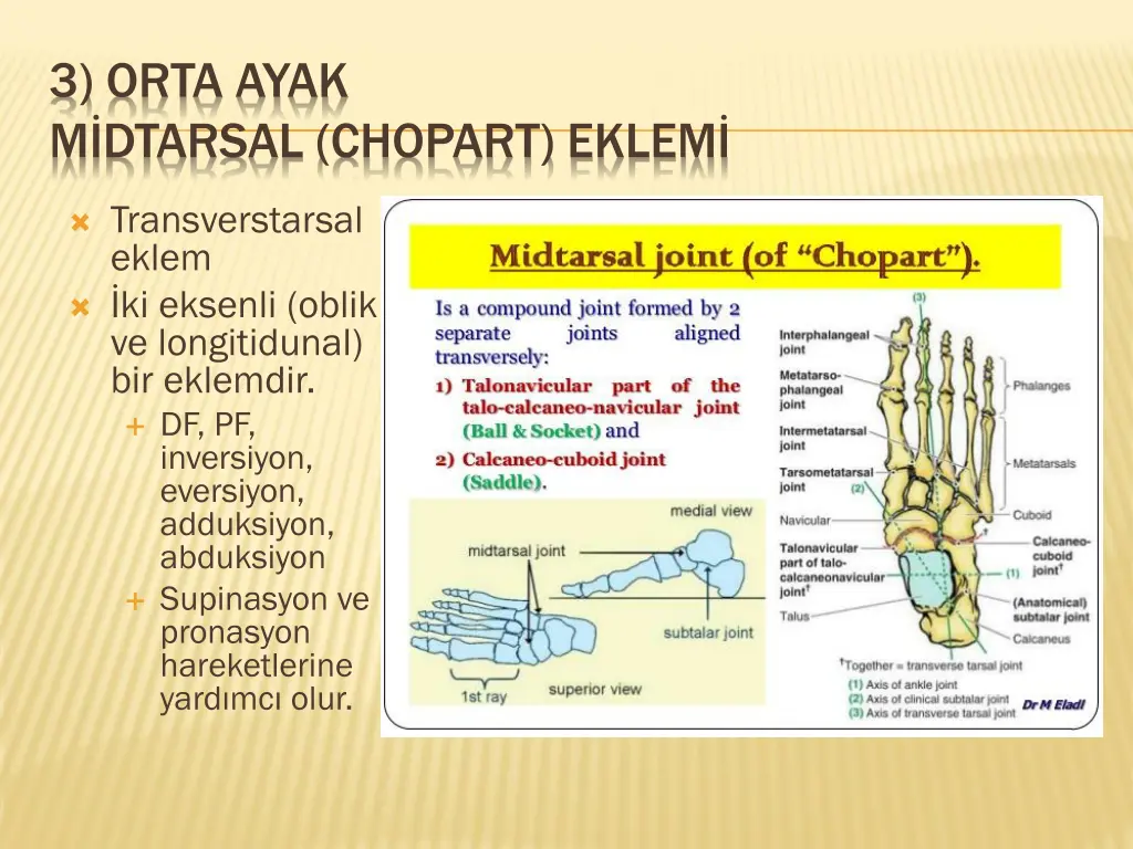 3 orta ayak m dtarsal chopart eklem