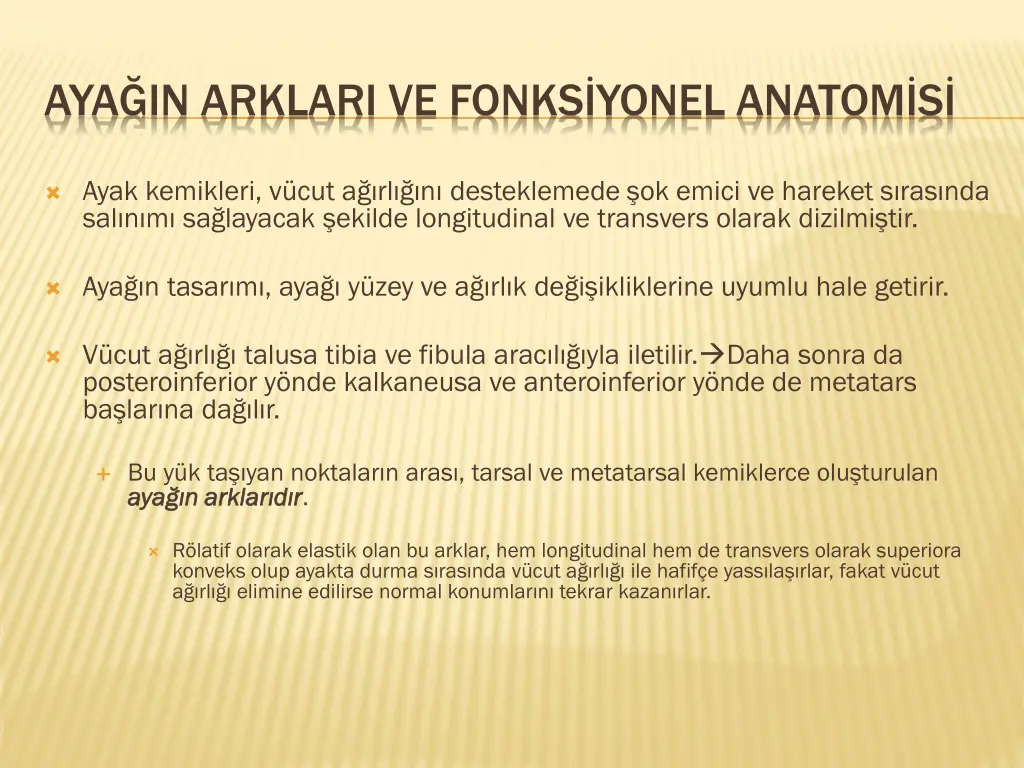 aya in arklari ve fonks yonel anatom s