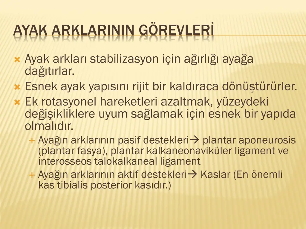 ayak arklarinin g revler