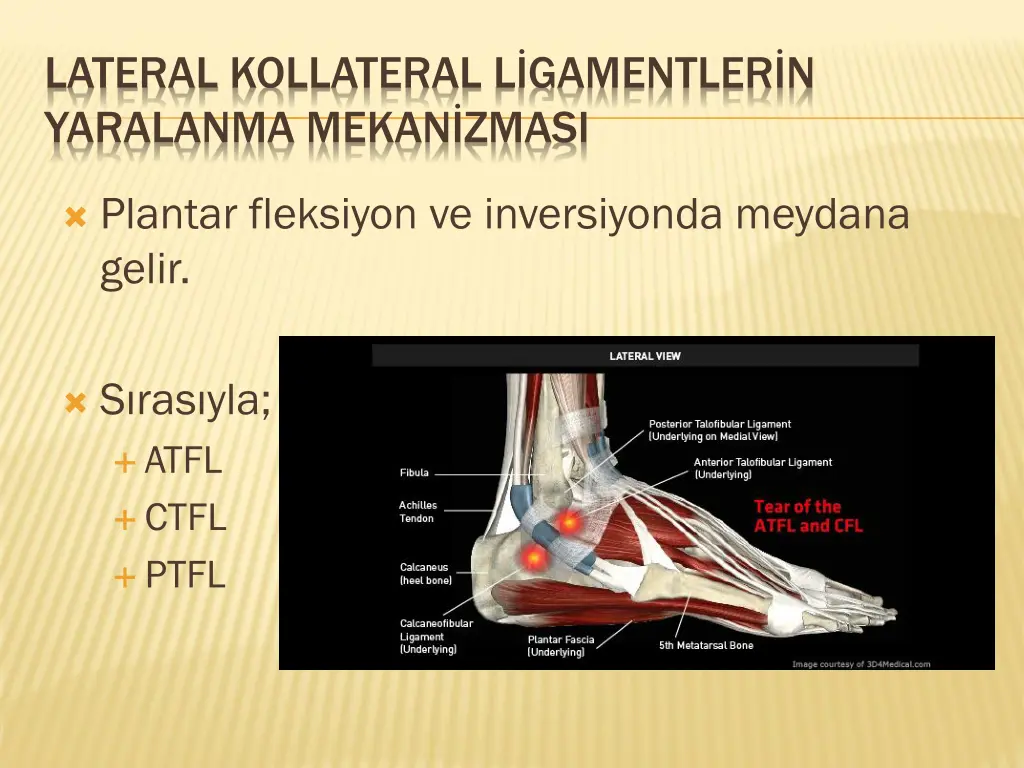lateral kollateral l gamentler n yaralanma mekan
