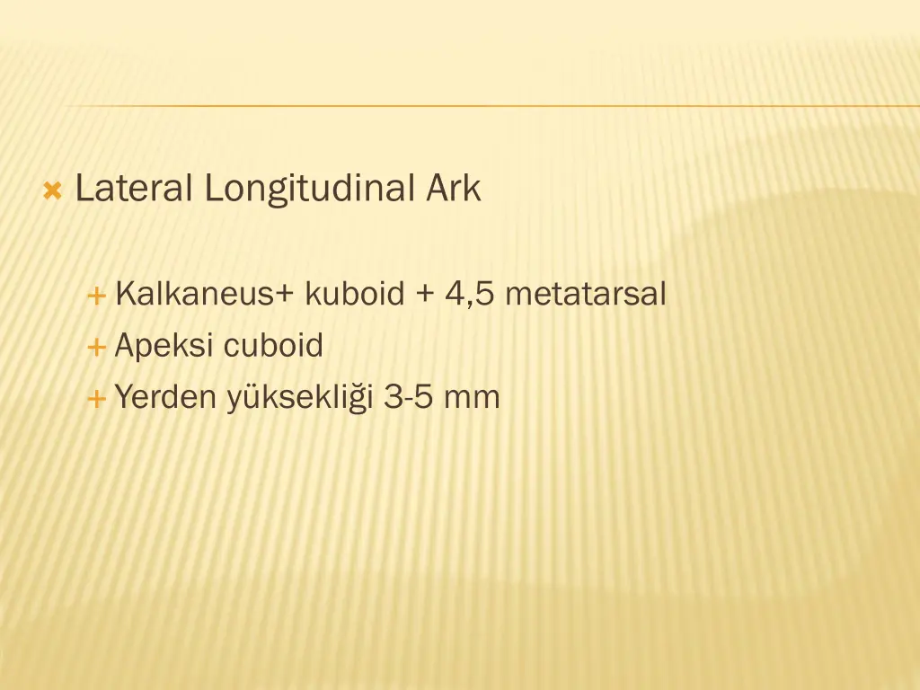 lateral longitudinal ark