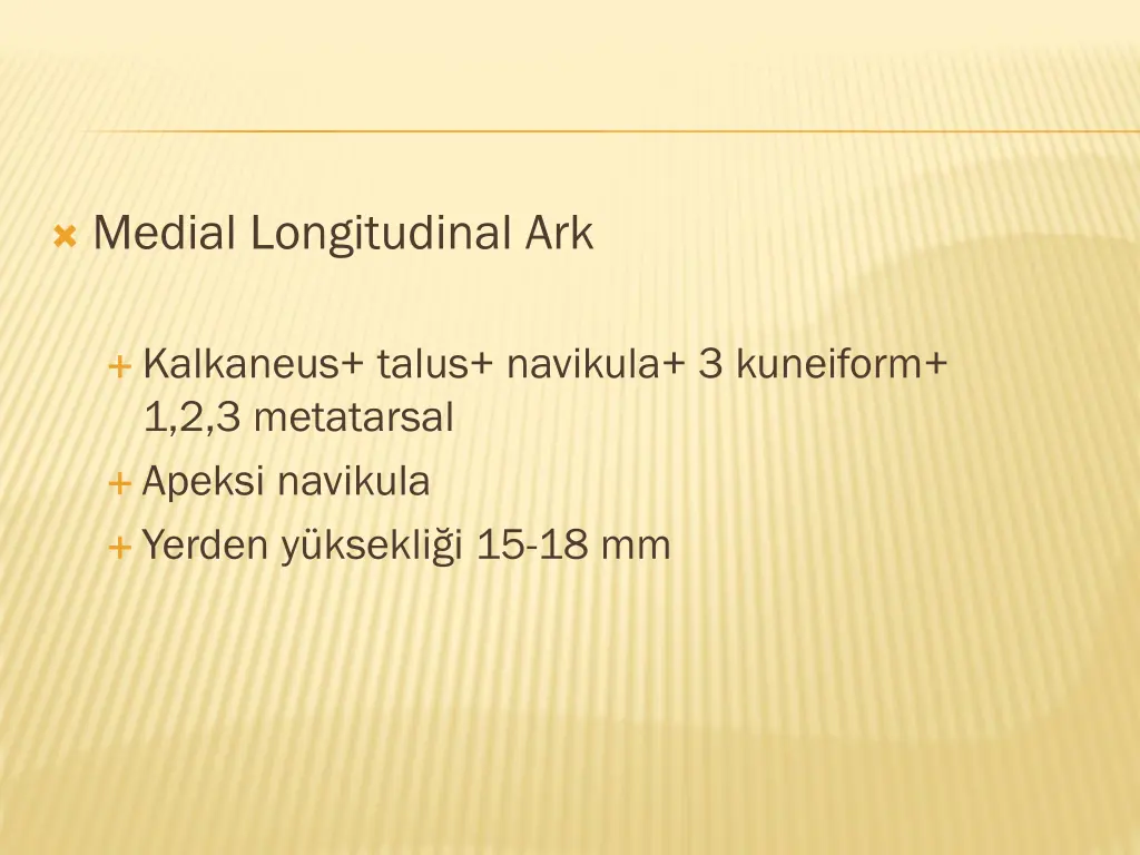 medial longitudinal ark
