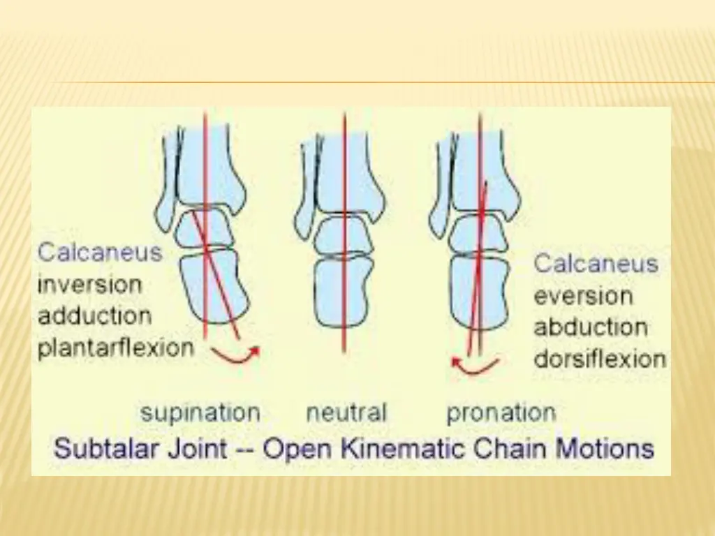 slide21