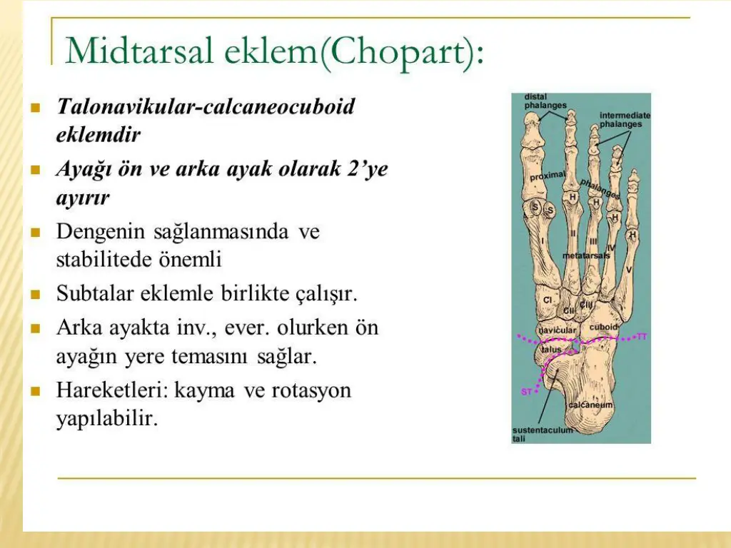 slide23