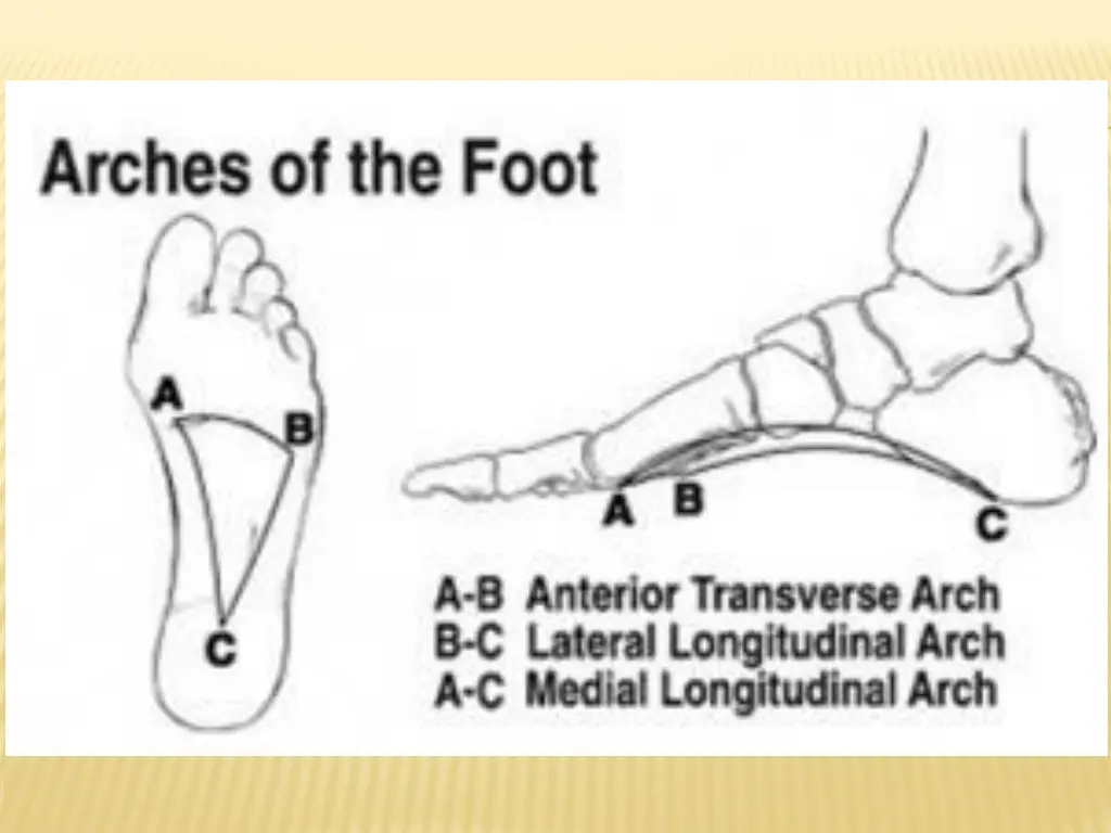 slide26