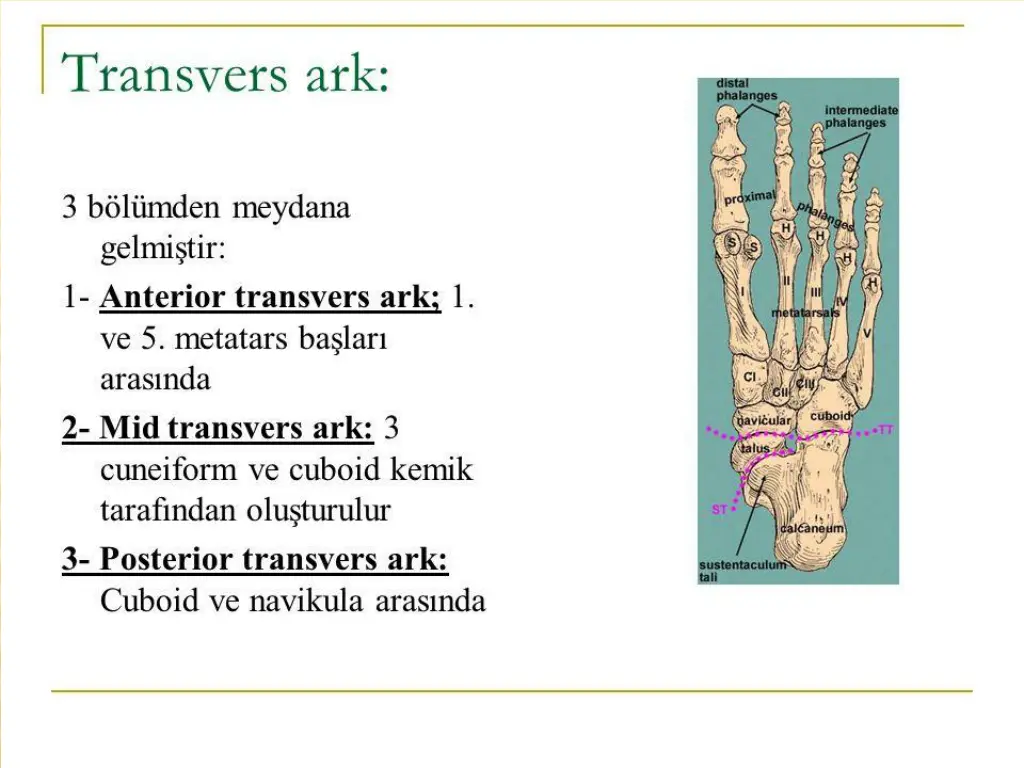 slide31