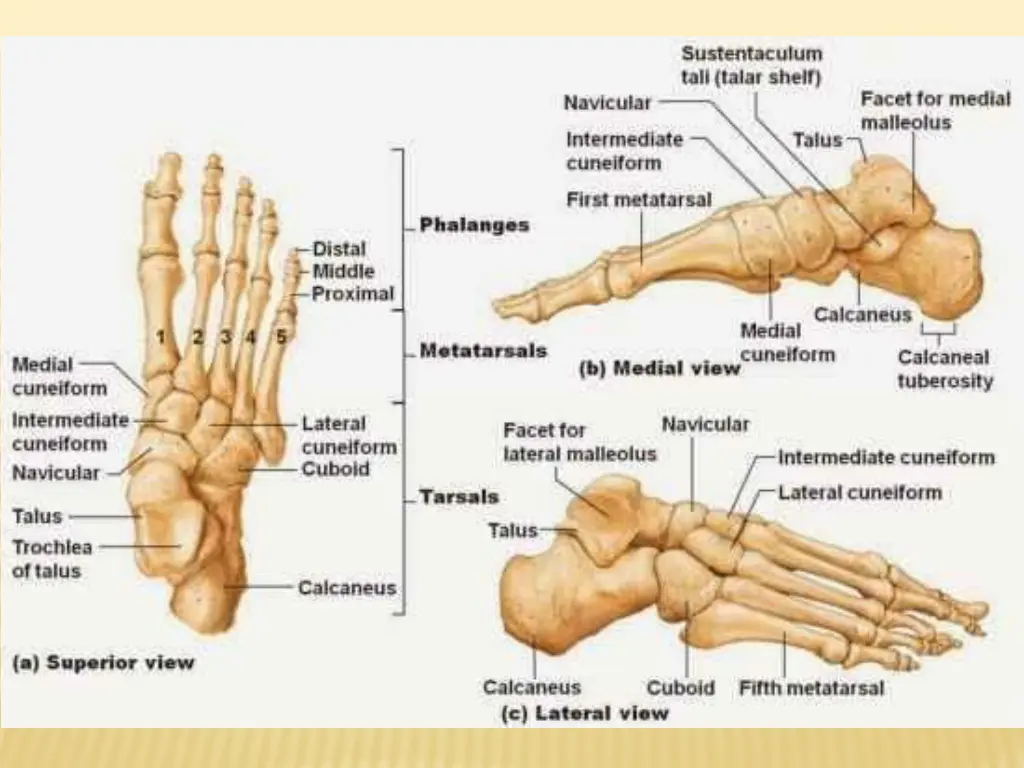 slide8