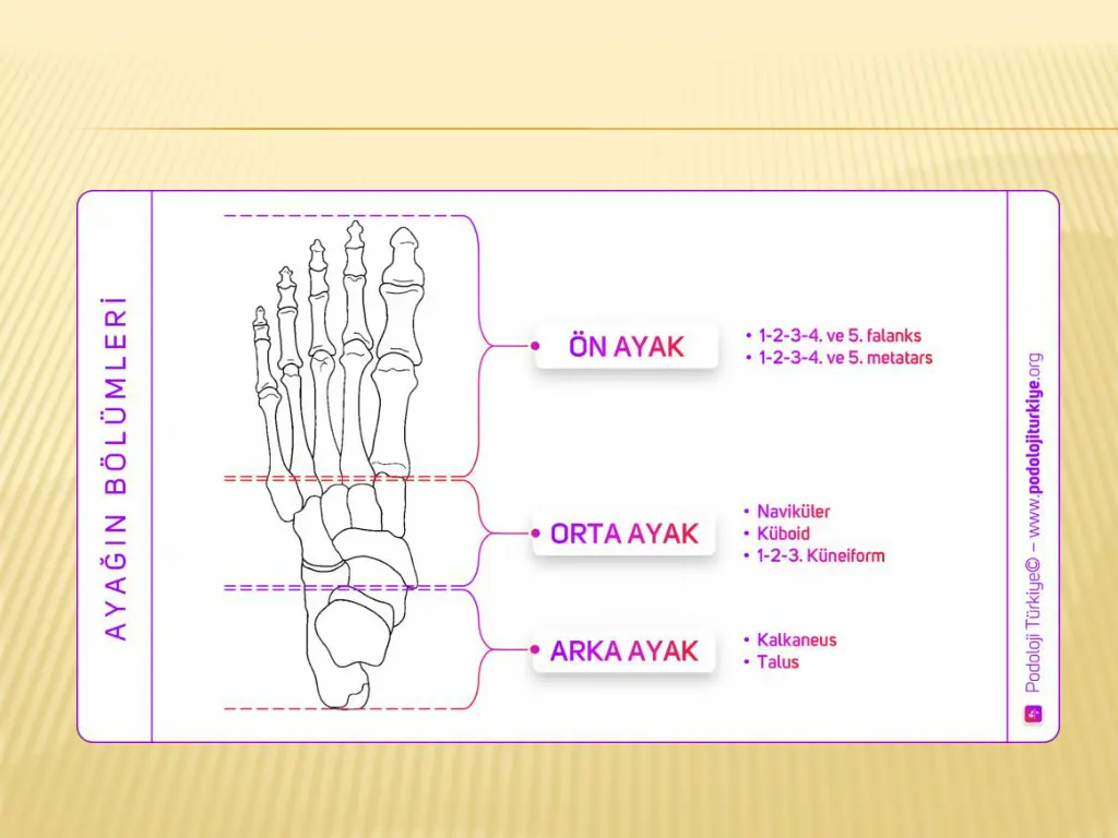 slide9