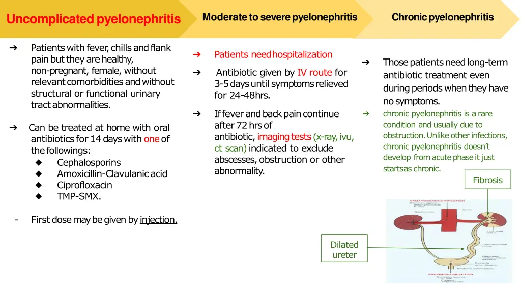 moderatetoseverepyelonephritis