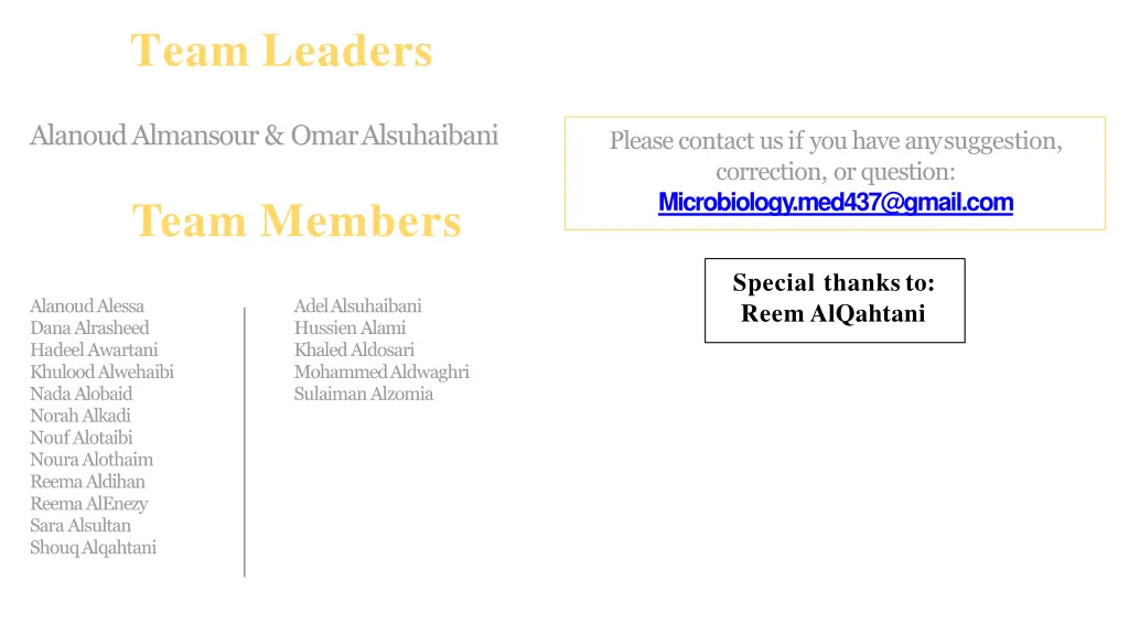 team leaders