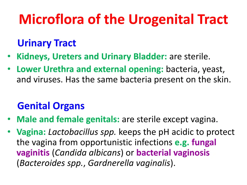 microflora of the urogenital tract
